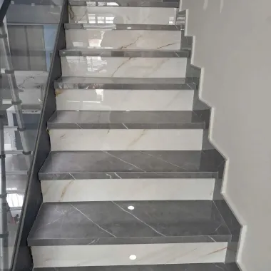 Mẫu 11